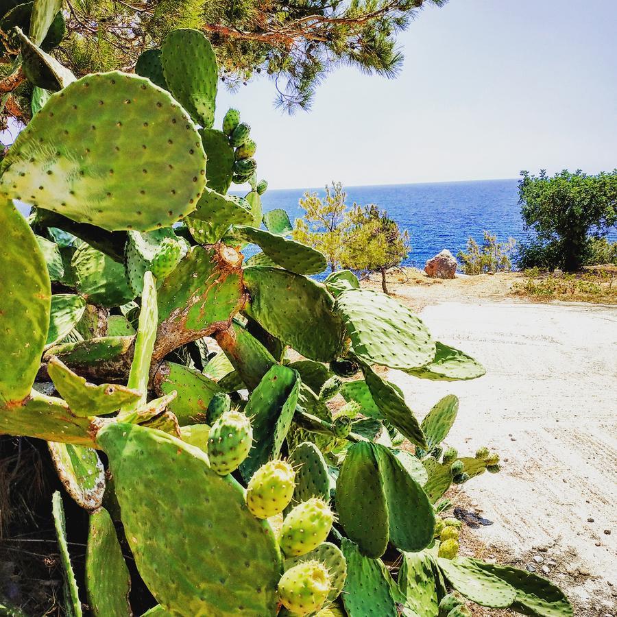 Achlia Euphoria - South Crete Villas מראה חיצוני תמונה